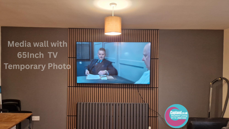 Media Wall- 65 Inch TV